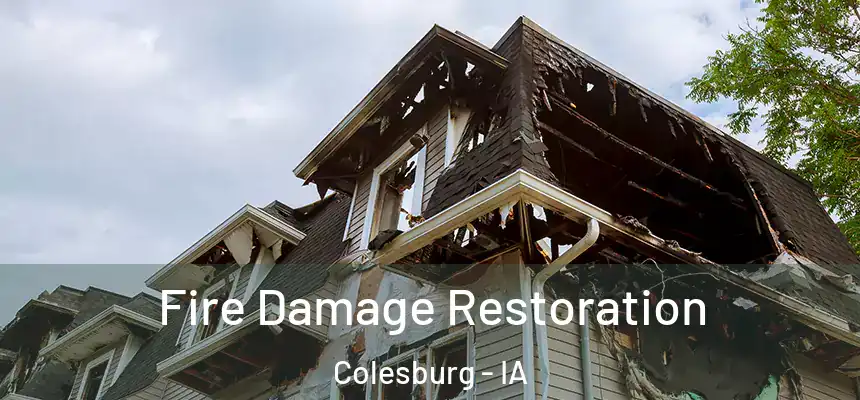  Fire Damage Restoration Colesburg - IA