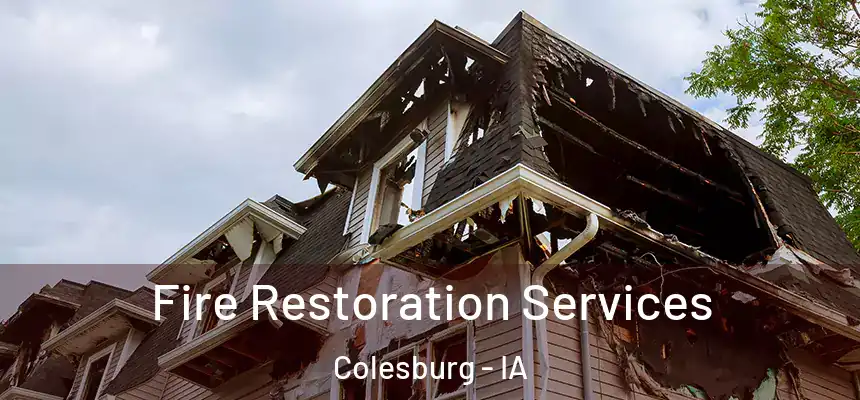  Fire Restoration Services Colesburg - IA
