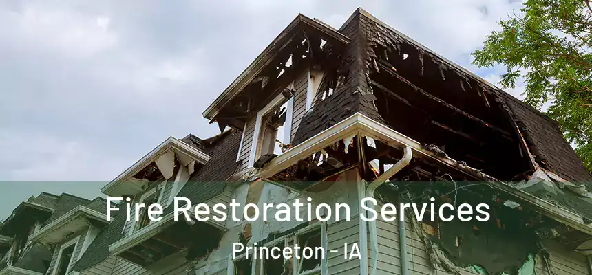 Fire Restoration Services Princeton - IA