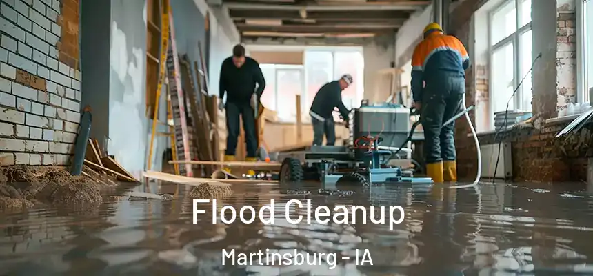 Flood Cleanup Martinsburg - IA