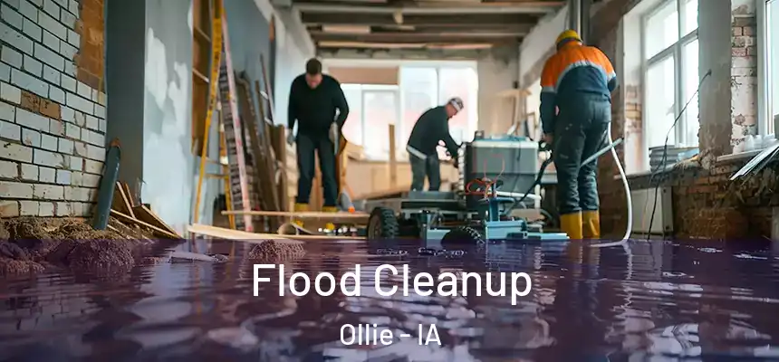  Flood Cleanup Ollie - IA