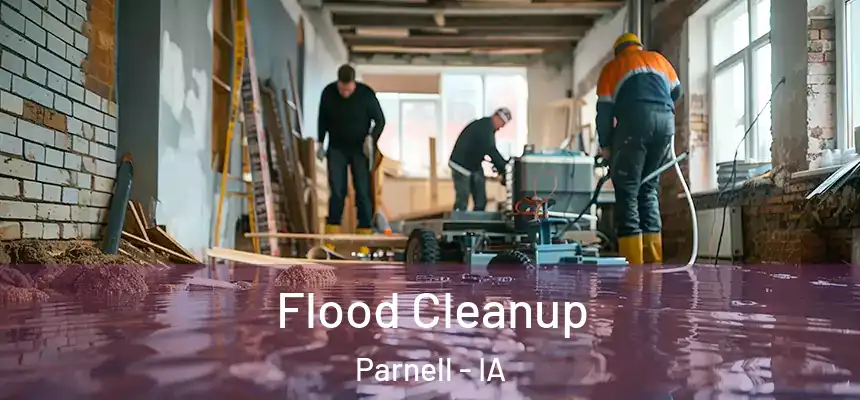  Flood Cleanup Parnell - IA