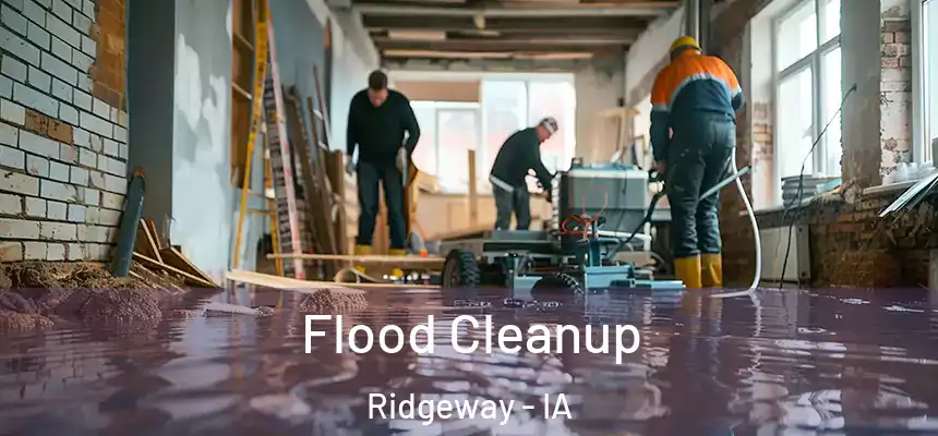 Flood Cleanup Ridgeway - IA