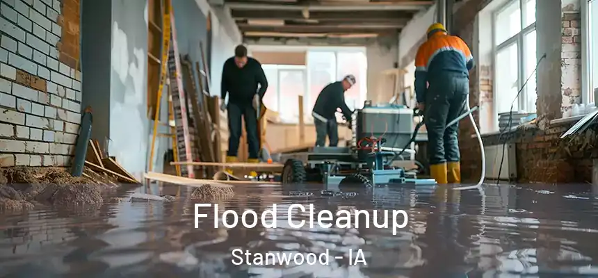 Flood Cleanup Stanwood - IA