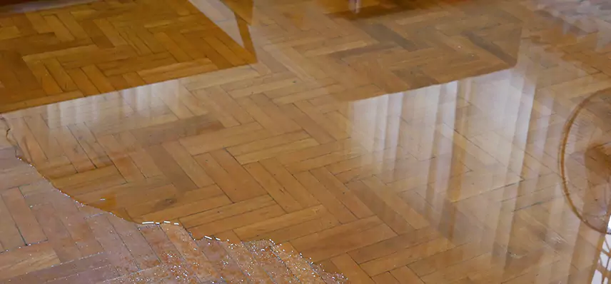 Laminate Wood Floor Water Damage Repair in Coralville