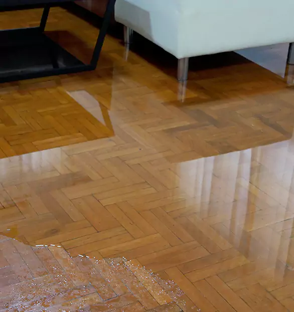 Trusted Emergency Water Restoration Company in Coralville, IA