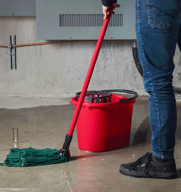 Trusted Sewage Cleanup Company in Coralville, IA