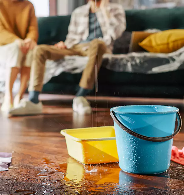 Trusted Water Restoration Company in Coralville, IA