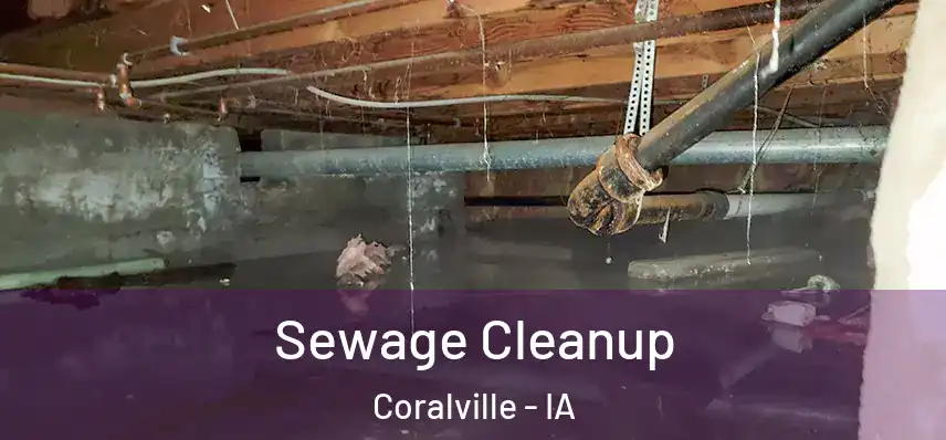 Sewage Cleanup Coralville - IA