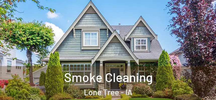  Smoke Cleaning Lone Tree - IA