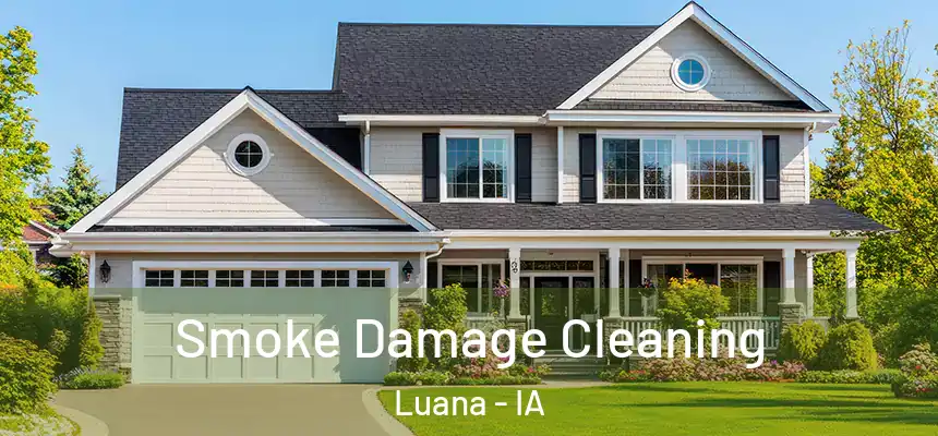 Smoke Damage Cleaning Luana - IA